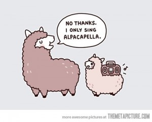 funny-alpaca-music-acapella