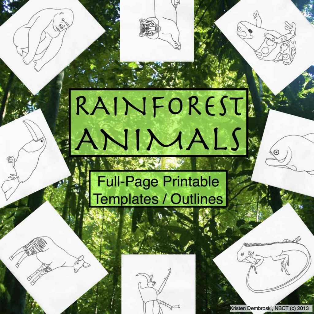 Rainforest Coloring Book (c) Kristen Dembroski