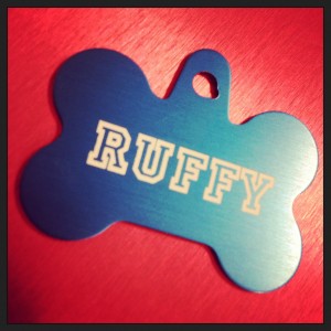 Ruffy (c) Kristen Dembroski