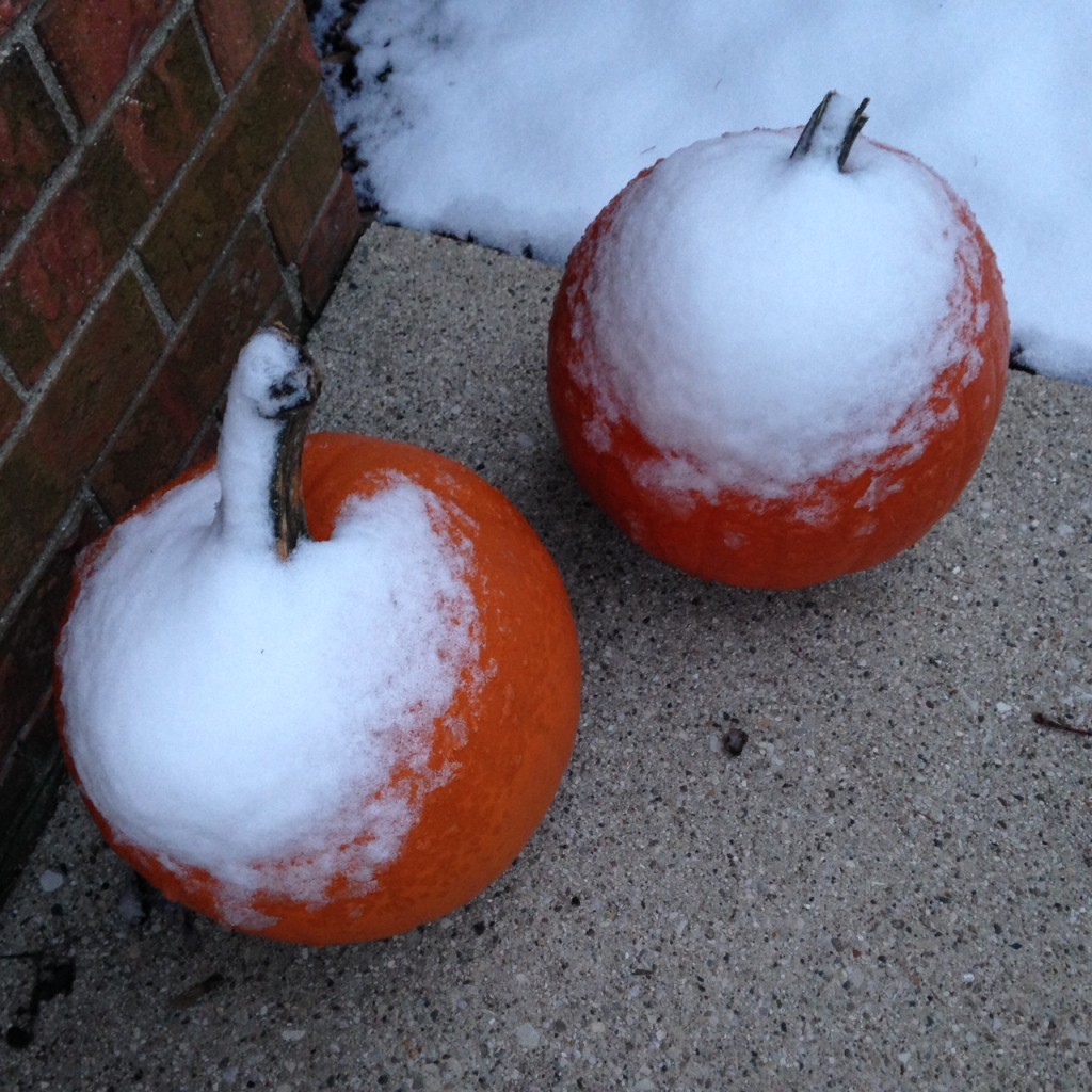 Frozen Pumpkins (c) Kristen Dembroski