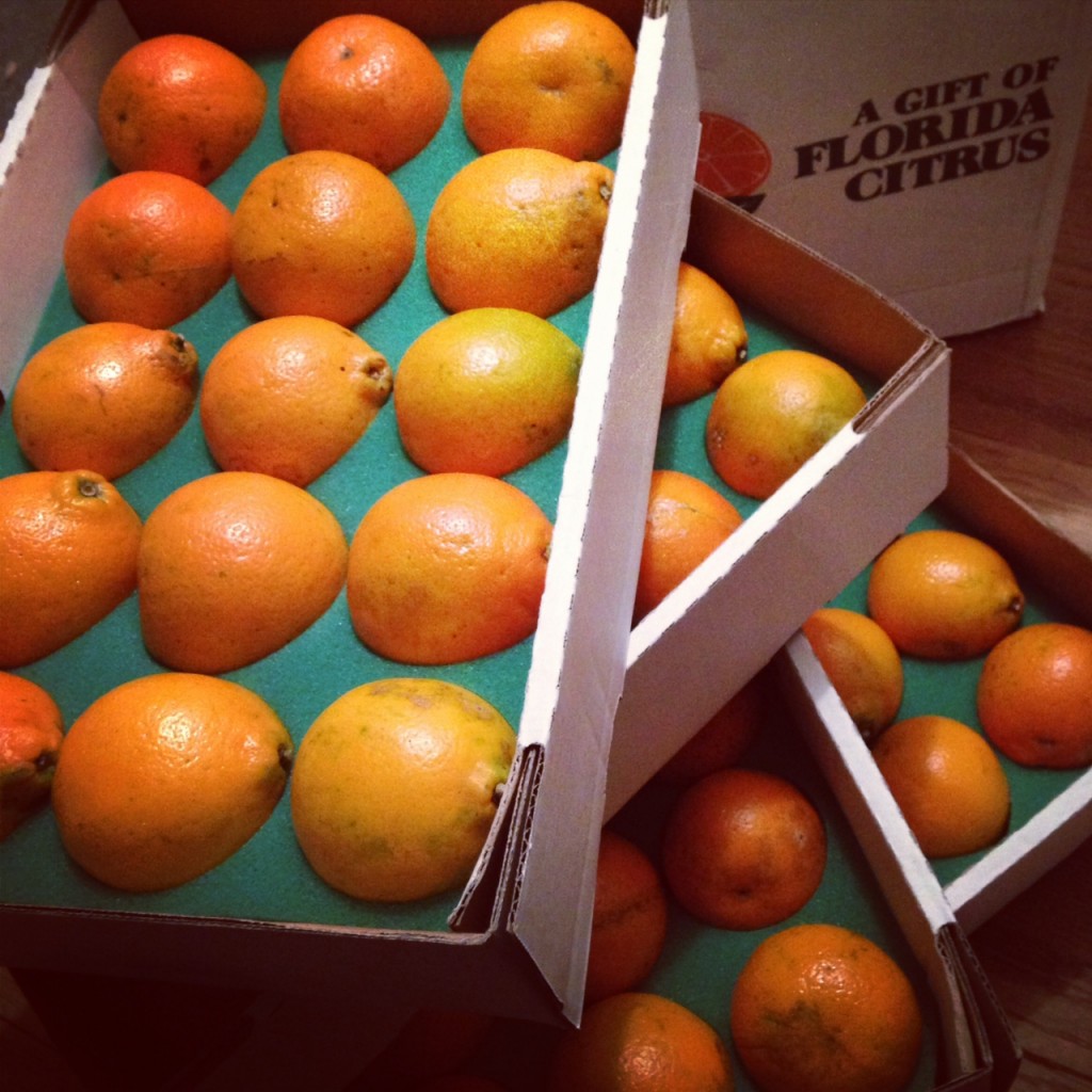 Florida Oranges (c) Kristen Dembroski