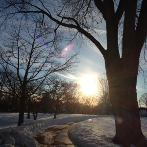 Sun and Snow (c) Kristen Dembroski