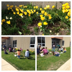 School Garden (c) Kristen Dembroski